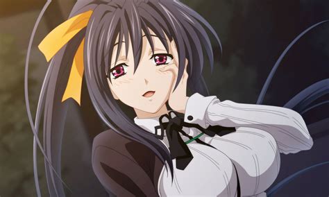 akeno himejima|how old is akeno age.